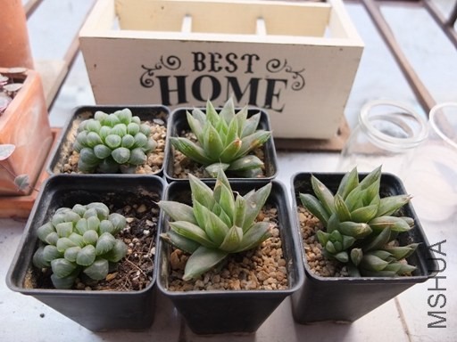 ��Ƭ 045.jpg
