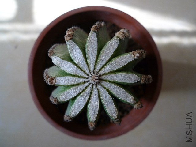 P1030350.JPG
