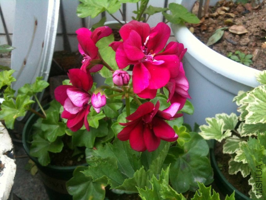 2014-01-17 121728.jpg