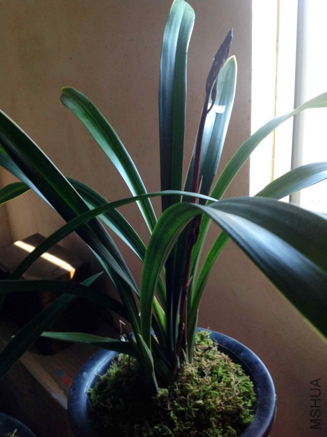 2014-01-19 160619.jpg