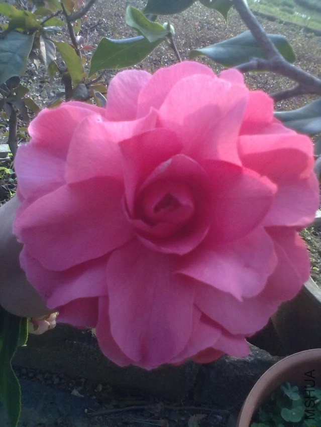 ��Ƭ 090.jpg