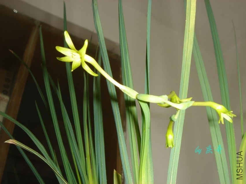 nEO_IMG_DSC06626.jpg