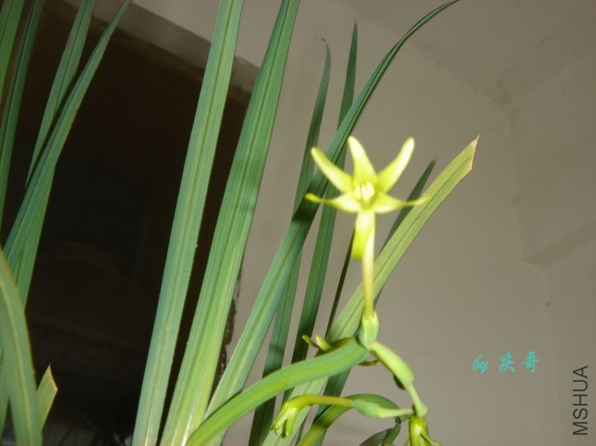 nEO_IMG_DSC06623.jpg