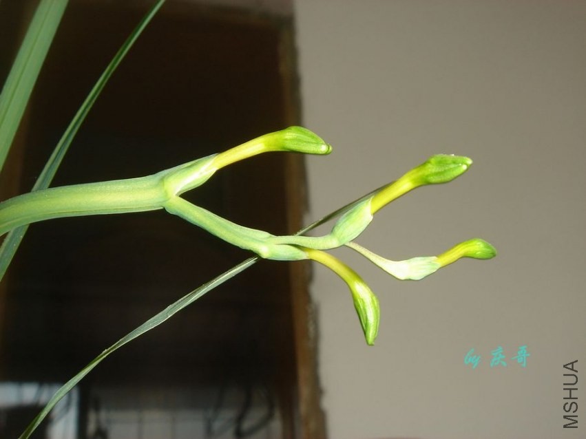 nEO_IMG_DSC06624.jpg