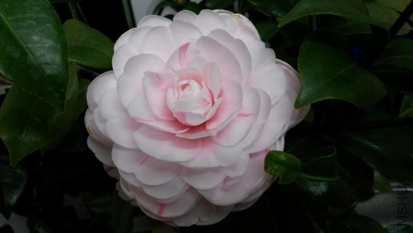 20140118_222239.jpg
