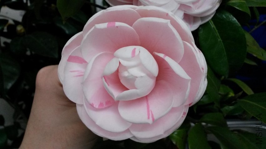 20140118_223924.jpg