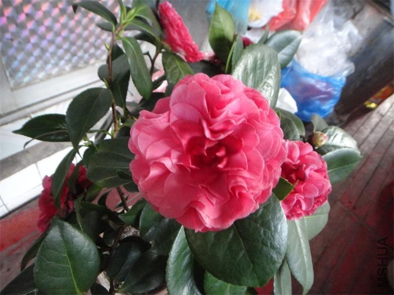 DSC01076.JPG