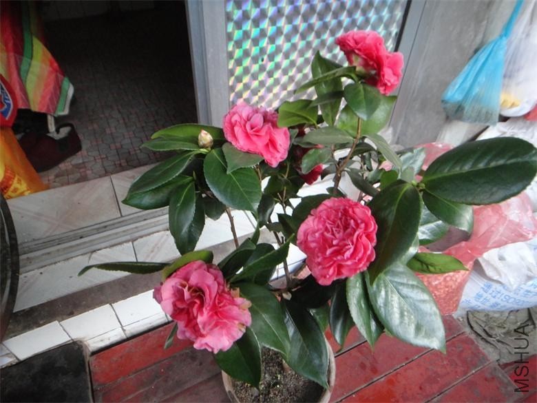 DSC01085.JPG