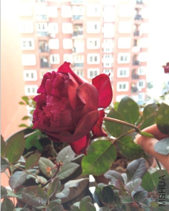ĺ��֮��2.JPG