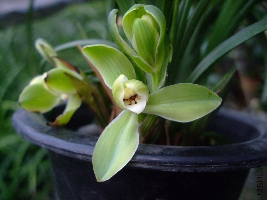 ��Ƭ 2014-1-19 01711.jpg