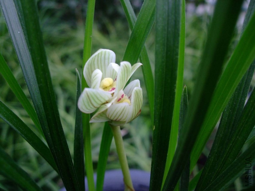 ��Ƭ 2014-1-20 01511.jpg