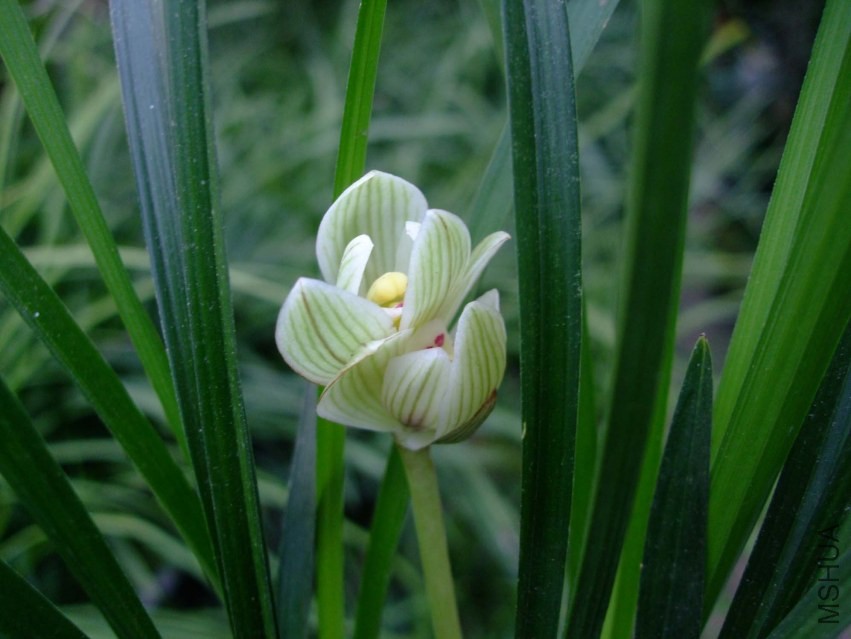 ��Ƭ 2014-1-21 03311.jpg