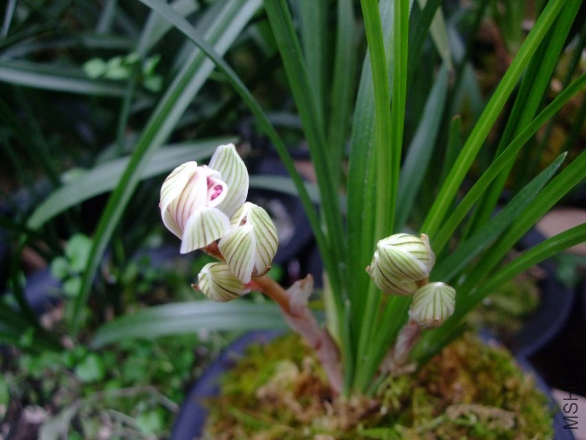 ��Ƭ 2014-1-21 02411.jpg