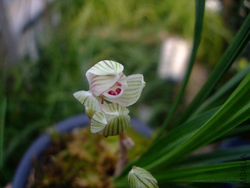 ��Ƭ 2014-1-21 02111.jpg