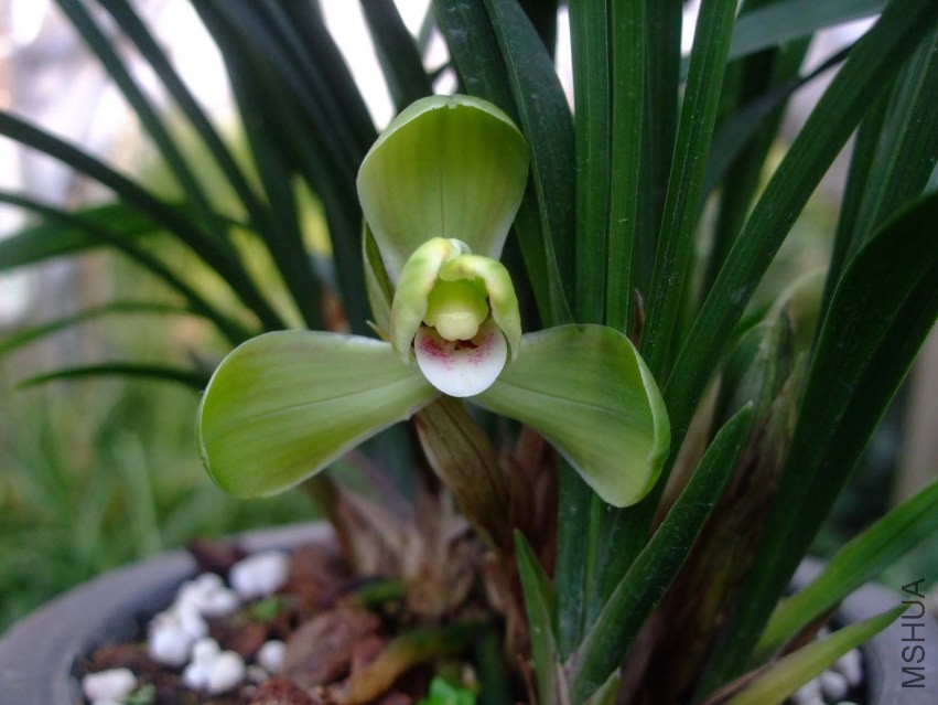 ��Ƭ 2014-1-21 01511.jpg