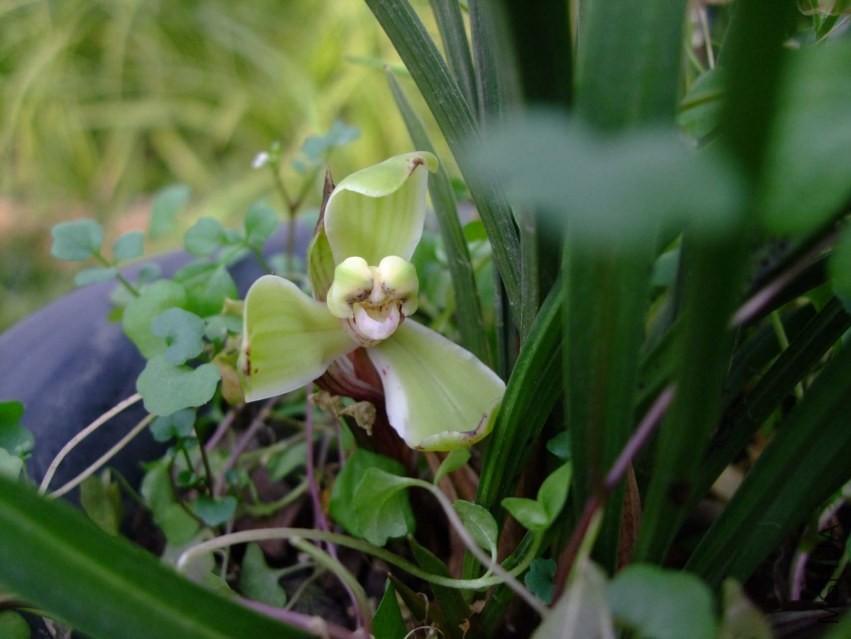 ��Ƭ 2014-1-21 01311.jpg