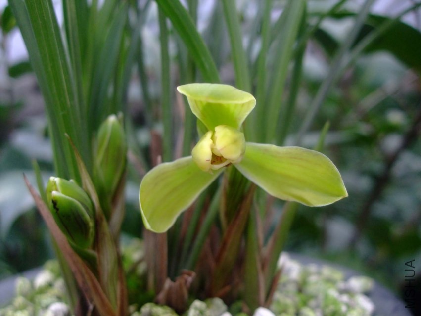 ��Ƭ 2014-1-21 00811.jpg