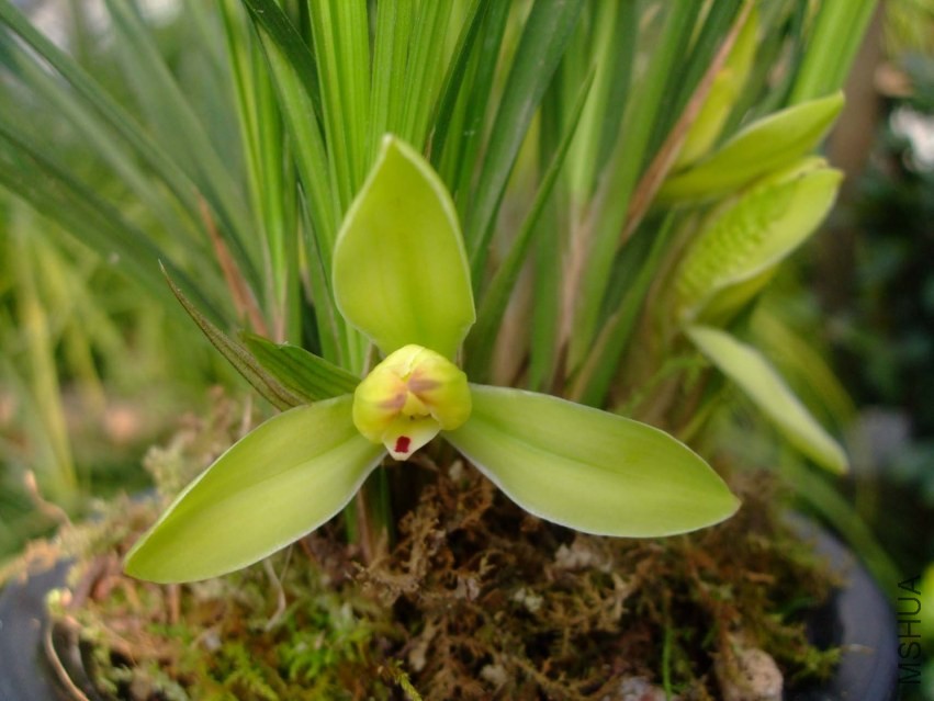 ��Ƭ 2014-1-21 00711.jpg
