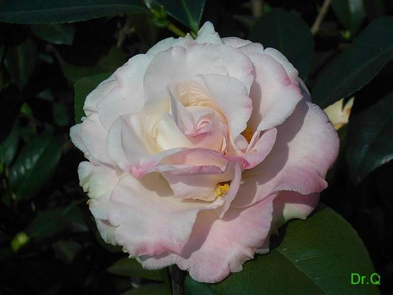 2-�M��-1.JPG