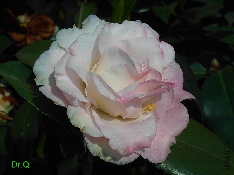 2-�M��-2.JPG