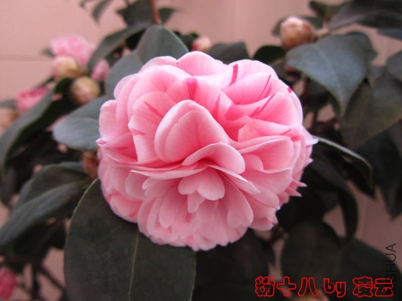 ��Ƭ 034.jpg