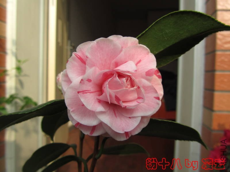 ��Ƭ 038.jpg