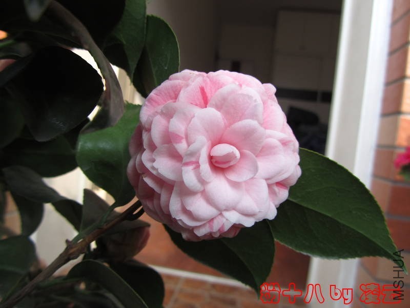 ��Ƭ 039.jpg