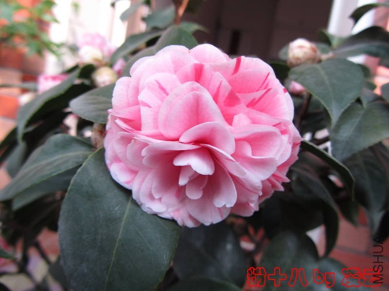 ��Ƭ 040.jpg