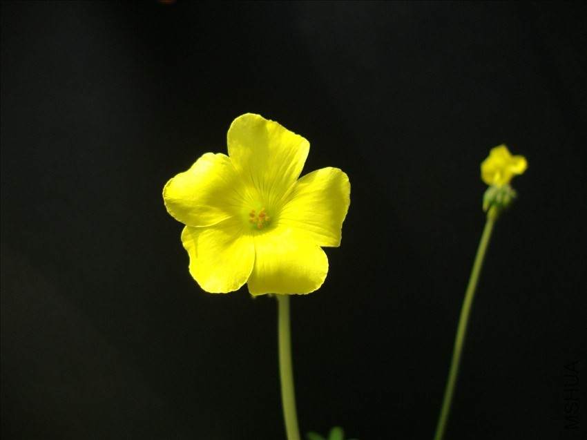 DSC08171.JPG