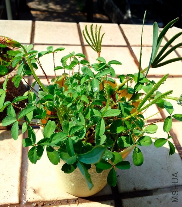 20140123_123204.jpg
