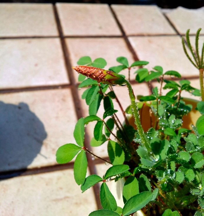 20140123_123217.jpg
