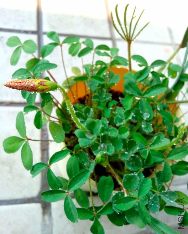 20140123_123353.jpg