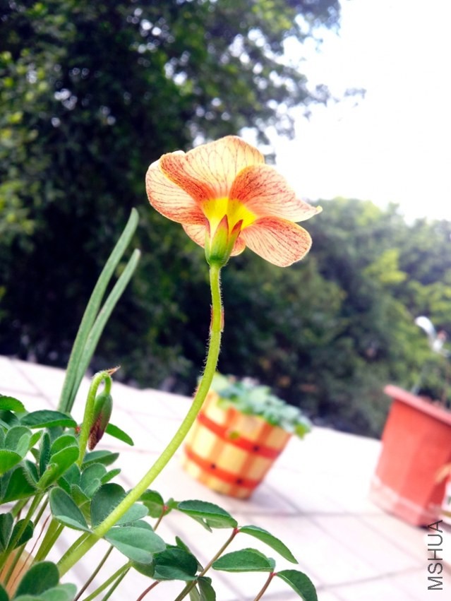 20140124_125250_����.jpg