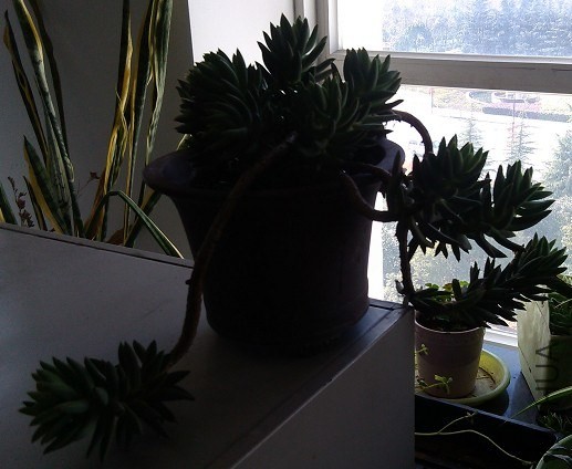 QQͼƬ20140124155502.jpg