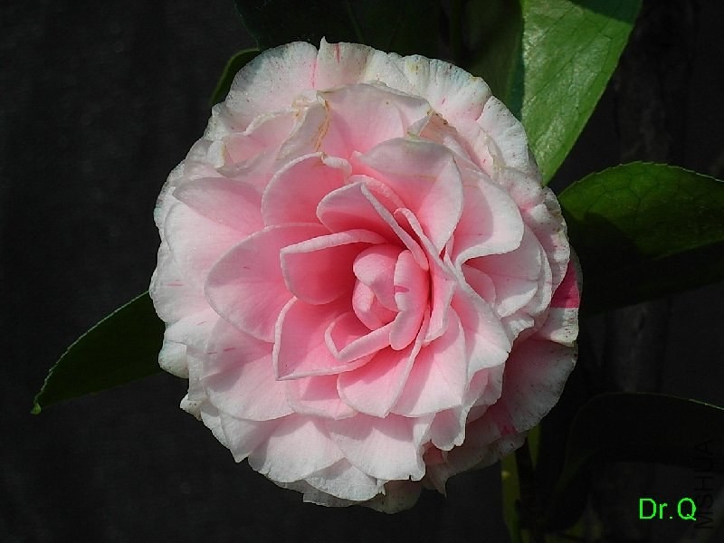 2-������-2.JPG