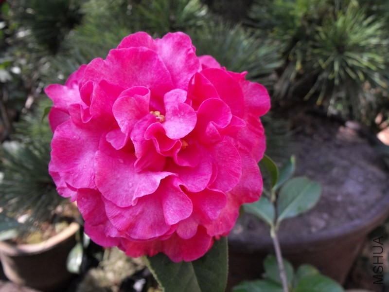DSCF3073.JPG