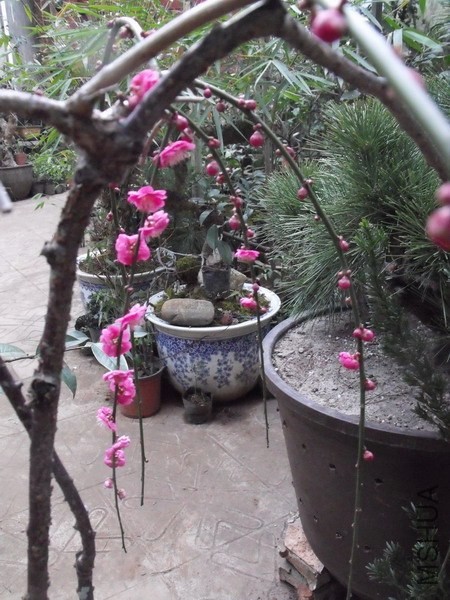 DSCF3080.jpg
