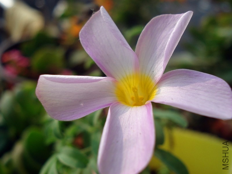 DSC07483_.jpg