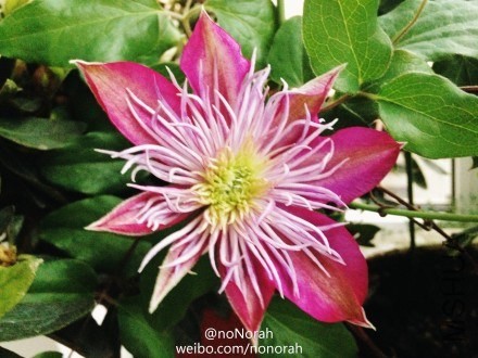 95dd5aa4jw1ecq0yvpzwzj21kw16ox0v.jpg
