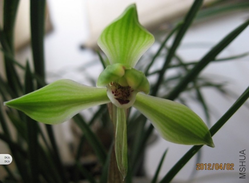 QQͼƬ20140125162646.jpg