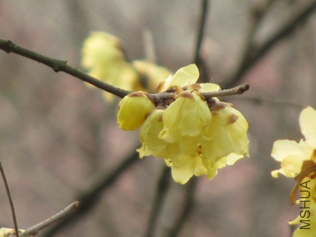 IMG_0039.JPG