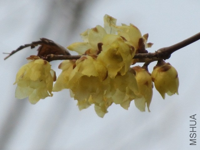 IMG_0037.JPG
