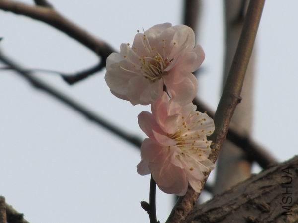 IMG_0017.JPG