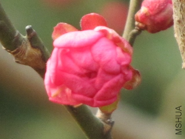 IMG_0027.JPG