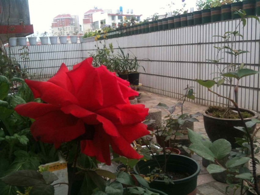 2014-01-26 122751.jpg