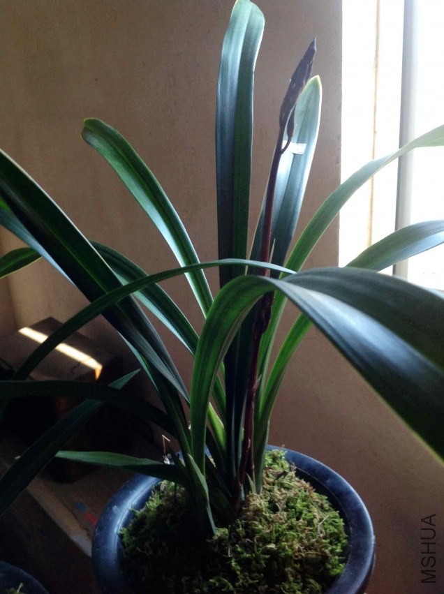 2014-01-19 160619.jpg