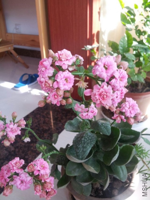 QQͼƬ20140126125251.jpg