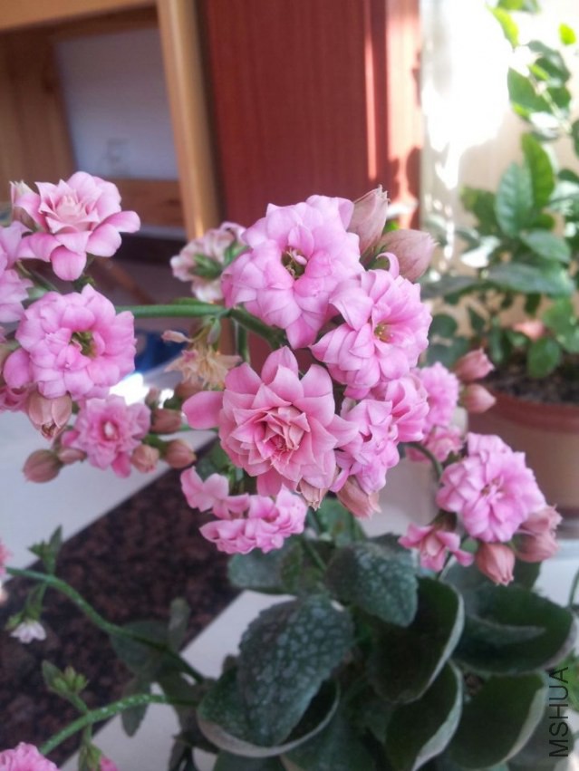 QQͼƬ20140126125303.jpg