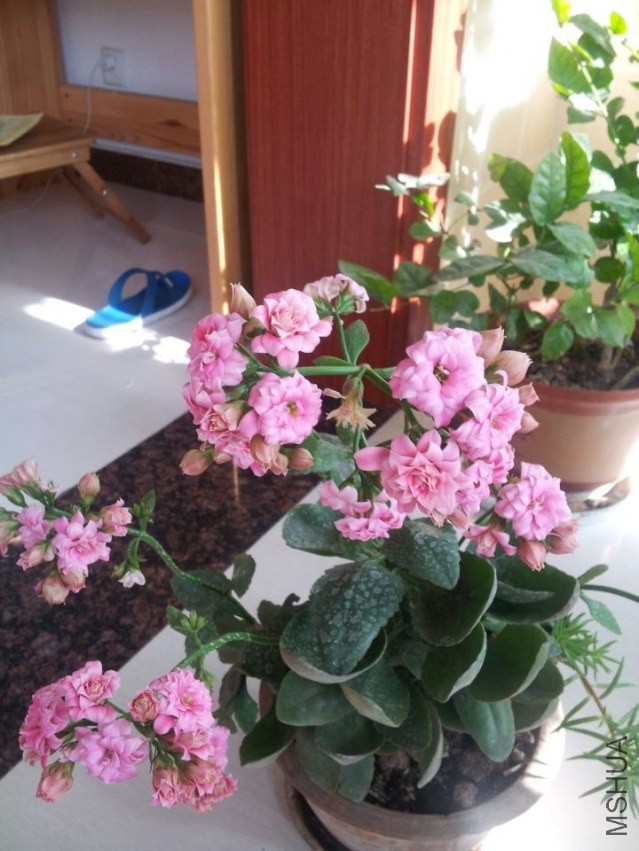 QQͼƬ20140126125312.jpg