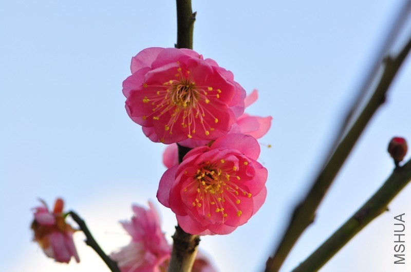 2014�幝֮��